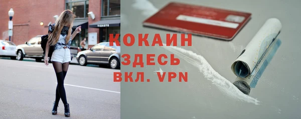 ALPHA PVP Няндома