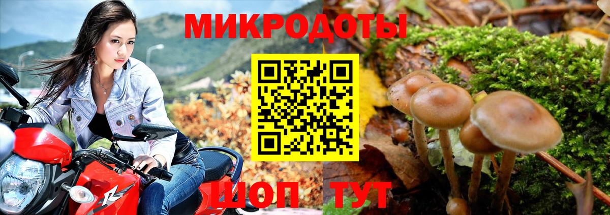 Фролово  Галлюциногенные грибы прущие грибы  Вход с VPN  наркота  Галлюциногенные грибы Psilocybine cubensis 